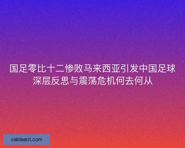 国足零比十二惨败马来西亚引发中国足球深层反思与震荡危机何去何从
