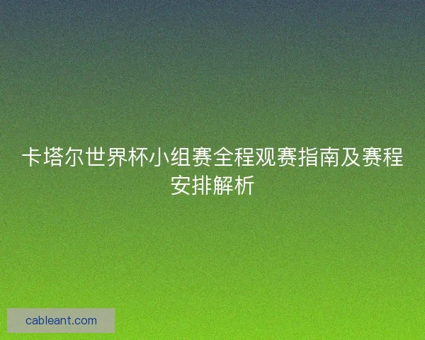 卡塔尔世界杯小组赛全程观赛指南及赛程安排解析