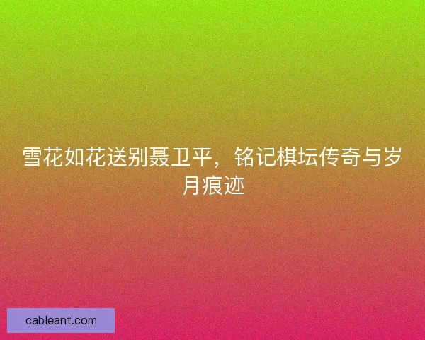 雪花如花送别聂卫平，铭记棋坛传奇与岁月痕迹